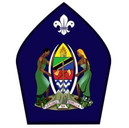 President's Scout Badge