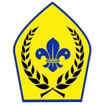 Chief Scout Badge