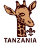 Tanzania Scouts Association